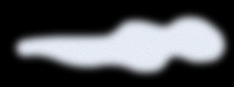 Cloud Bottom Right